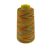 4 Konen Overlock Garn Multicolor